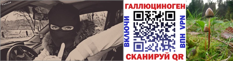гидра рабочий сайт  Комсомольск-на-Амуре  Псилоцибиновые грибы Cubensis 